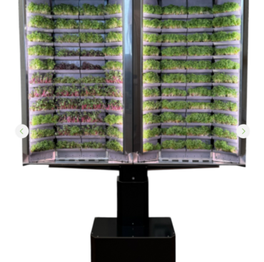 Вертикальная  ферма «Моя микрозелень» комплектация  «Театро настенная» - «globural.ru» - Нерюнгри