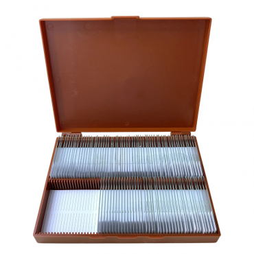 Комплект микропрепаратов по анатомии, ботанике, зоологии, общей биологии - «globural.ru» - Нерюнгри