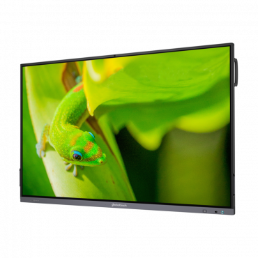 Интерактивный программно-аппаратный комплекс Geckotouch Interactive IP75GT-C в комплекте с настенным креплением - «globural.ru» - Нерюнгри