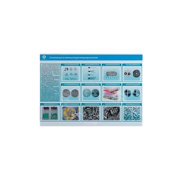 Стенд-планшет светодинамический «Изучение систематики и номенклатуры микроорганизмов» - «globural.ru» - Нерюнгри