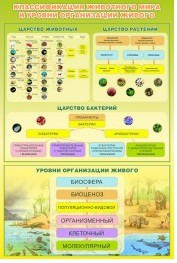 Стенд "Классификация животного мира" - «globural.ru» - Нерюнгри